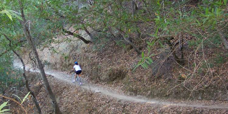 Copy of 100_0157.jpg